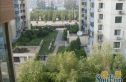南湖东园一区实景图