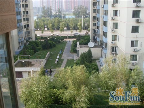 南湖东园一区实景图