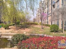 稀有房源 三房南北通透 中间位置 不临街不临路诚心卖