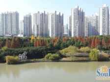 近地铁,电梯房 产权清晰 精装,急售房源