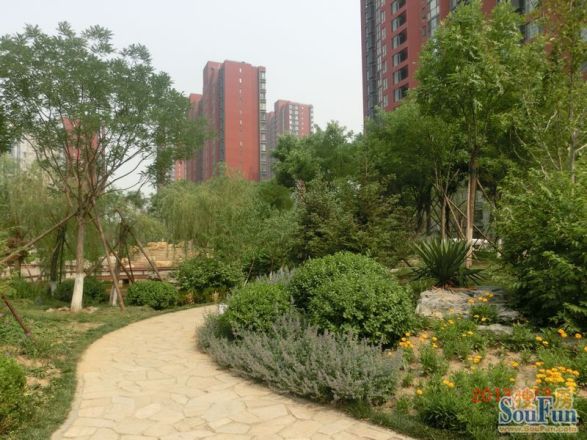 融景城东区实景图