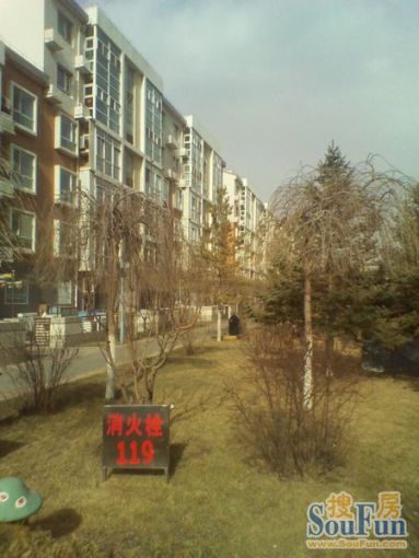  �Ż����ʹ��ϻ�԰2��1��1���ϳ���1900.00Ԫ/�³��� 