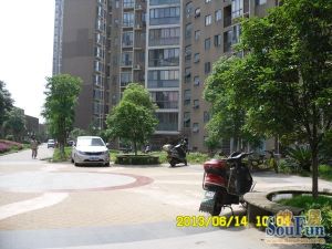 西街锦宸3室2厅南