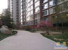 富力城C区 2室1厅 南