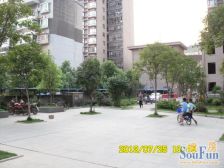 怡景嘉园 1室1厅 南