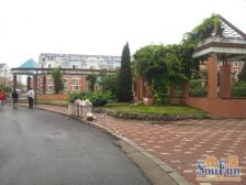 绿波花园 2室2厅 南 北