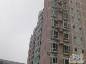 中山街鼎晟国际视野没有遮挡正规一居室