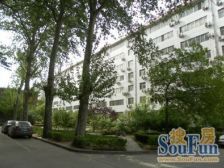 省委五区 紫荆山公园 双地铁口 双气三房双卫 停车方便