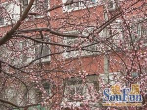 花园路低总价三居高层层高2.7米满五年唯一随时交易