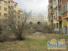 嵩山小区一楼大复试适合办公写字间办事处网吧广告公司