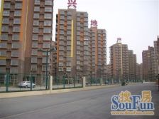 必看!东南朝向温馨两居 双卧迎光 位置佳 出行方便