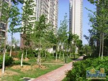 鲁能领秀城东一区 2室1厅 南