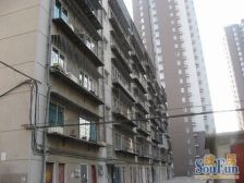 精装 通厅通透 全明户型 宽敞舒适 101中 福佳旁