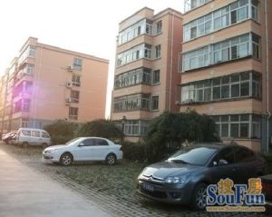 崔村教师楼3室1厅东南北