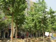 二环边,地铁口,电梯小高层,业主诚心出售,看房方便