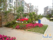 西海岸三期花园洋房 精装修 耳朵户型 落地窗 采光好