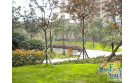 郑大东生活区 双气精装 满五年71平95万