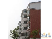 鑫成美墅电梯三房,采光充足,业主诚心出售