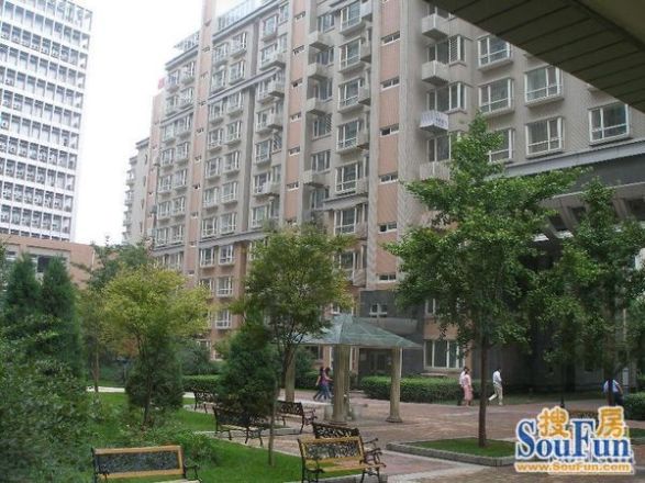 枫桦豪景实景图