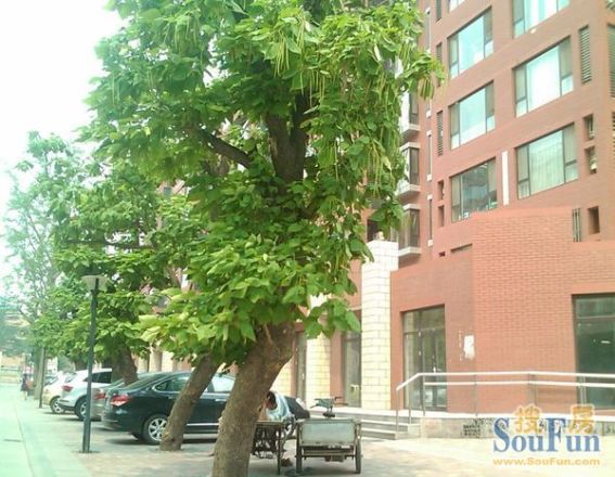 中昊家园实景图