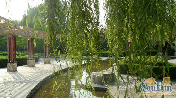 青青家园实景图