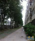广播大院2室1厅南北