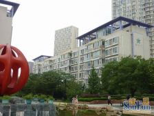 新上好房 新希望花园 凤凰层 前后无遮挡 诚意出售