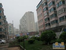 装修好 大三室,中间楼层,户型方正,无浪费面积