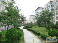 和平广场 新希望花园 阳光通透 户型优越 安静舒适