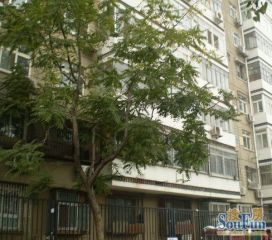 军博·玉渊潭南路9号院·2室·2厅