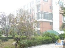 经五路丰产路,满五年单位家属院