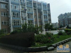 澳南苑带40平大阳台实际面积大户型好无坡