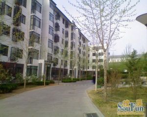 魏公村8号院理工南门电梯房