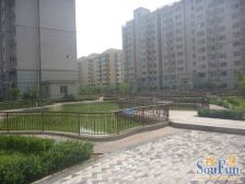 阳光家园西区南北通透复式格局电梯房视野开阔楼间距大