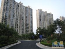 金广东海岸,70年住宅小区,诚意出售。南北通透