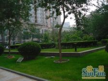 金融街西二环阜成门地铁站电梯南向一居室