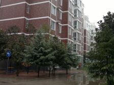 顶楼复式,带露台,房子不漏水,价位便宜