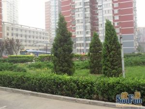 2005年钢混,满五唯一商品房带车位