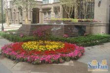 中海紫御公馆2室2厅南