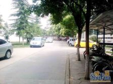 建业金水花园阁楼出售, 总价低,有露台, 环境不错。