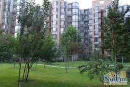 �����������1����ס¥