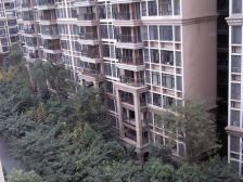 清水路苑 2室2厅 南