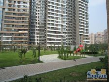 西坝河·光熙家园·4室·2厅