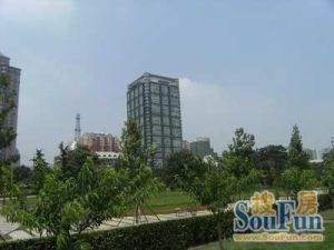 丽泽商务区菜户营单价低地铁边
