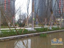 双山 中交丽景三房85万