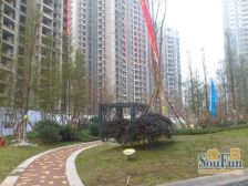 中交丽景 4室1厅 南