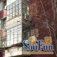 潘家坡胡同4号院3室1厅南北