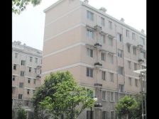 四轨交汇,一梯两户全明户型,采光好,配套齐全