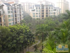 临广花园小区主阳台朝南通风透亮阳光充裕