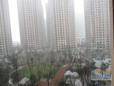 中海金沙府 8室2厅 西南